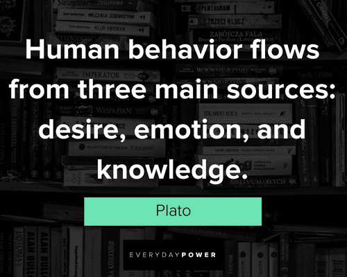 knowledge quotes about human behavior