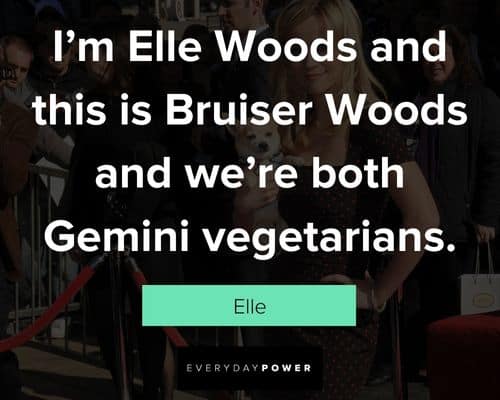 Legally Blonde quotes about Elle Woods and this is Bruiser Woods