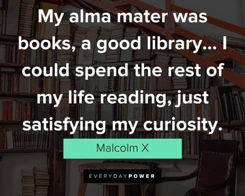 Library quotes about reading 
