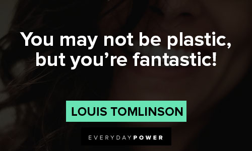 louis tomlinson quotes on you may not be plastic, but you’re fantastic