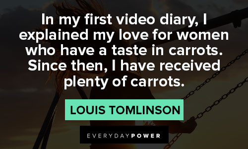louis tomlinson quotes about video diary