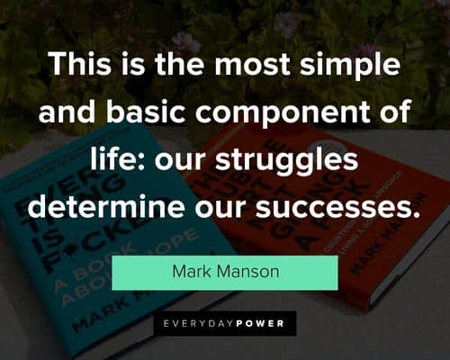 Mark Manson quotes about finding success
