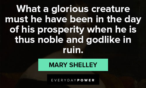 Funny Mary Shelley quotes