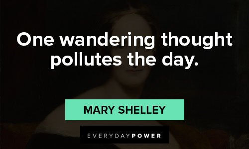 Unique Mary Shelley quotes