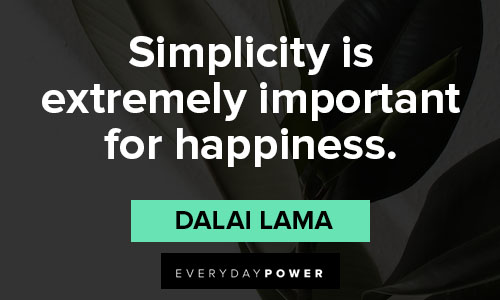 minimalist quotes that simplicity is extremely important for happiness