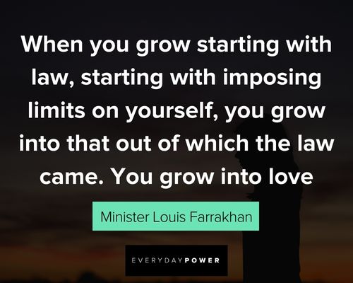 Minister Louis Farrakhan quotes about grow into love