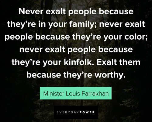 Wise and inspirational Minister Louis Farrakhan quotes