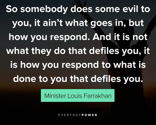 Minister Louis Farrakhan quotes that defiles you