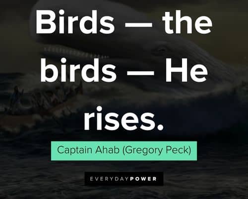 Appreciation Moby Dick quotes