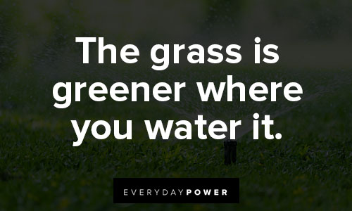 Motivational T-shirt quotes on the grass is greener where you water it