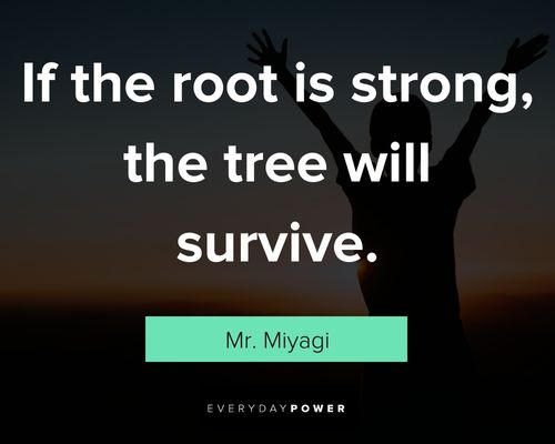 Short Mr. Miyagi quotes