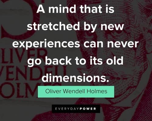 Funny Oliver Wendell Holmes Quotes