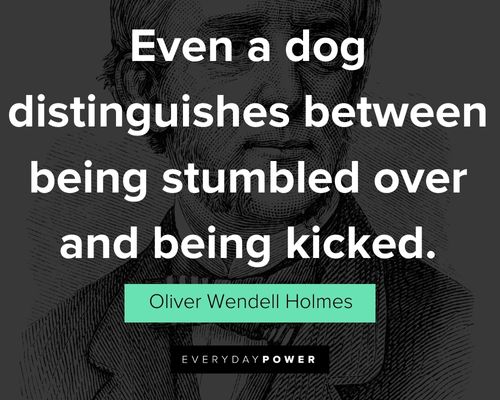 Motivational Oliver Wendell Holmes Quotes