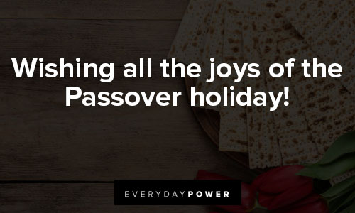 Passover quotes about wishing all the joys of the passover holiday