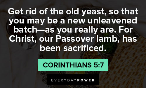 Passover quotes about sacrifice