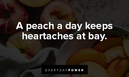 peach quotes on a peach a day keeps heartaches at bay