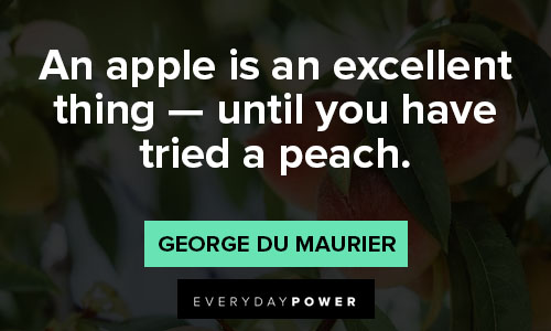 peach quotes for apple