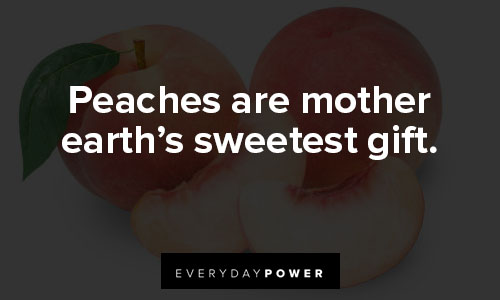 peach quotes about peaches are mother earth’s sweetest gift
