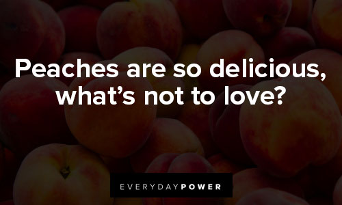 peach quotes that peaches are so delicious, what’s not to love
