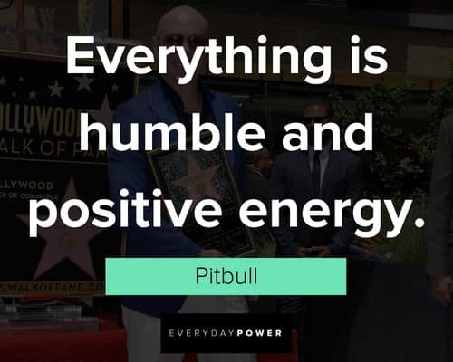 Pitbull quotes on Motivation