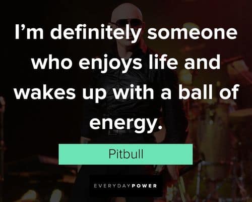 Meaningful Pitbull quotes