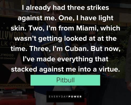 Amazing Pitbull quotes