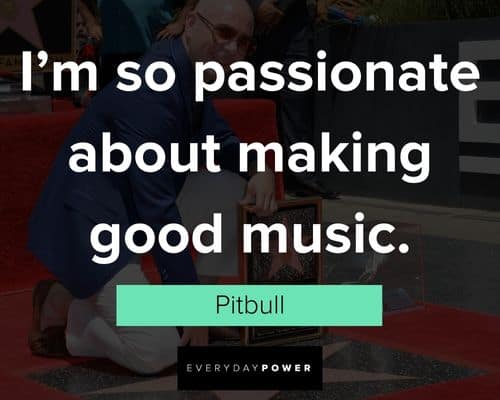 Pitbull quotes about I'm so passionate about making good music