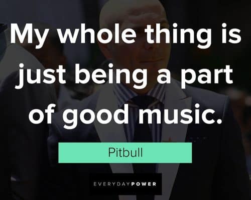 Pitbull quotes about good music