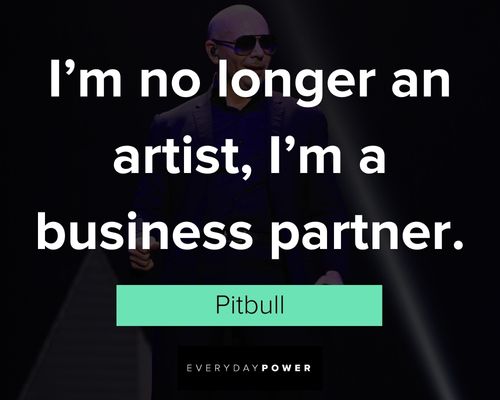 Pitbull quotes about I'm no longer an artist, I'm a business partner