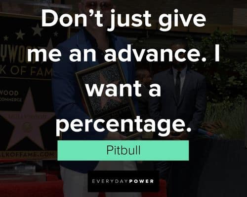 More Pitbull quotes 