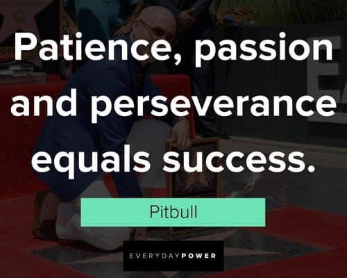 Pitbull quotes about patience