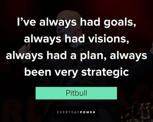 Pitbull quotes about vision