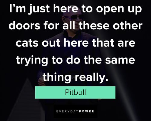Epic Pitbull quotes