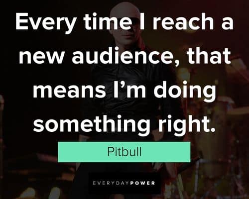 Top Pitbull quotes