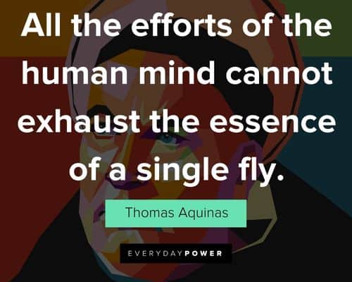 Cool Thomas Aquinas quotes
