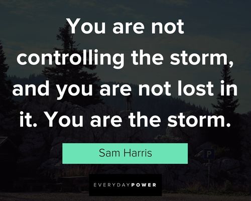 Epic Sam Harris quotes