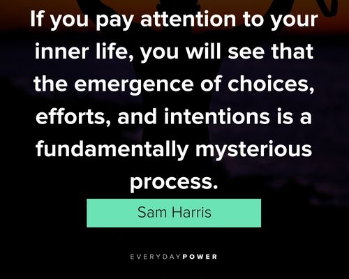 Top Sam Harris quotes