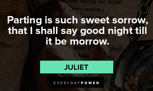 Shakespeare love quotes that parting is such sweet sorrow, that I shall say good night till it be morrow