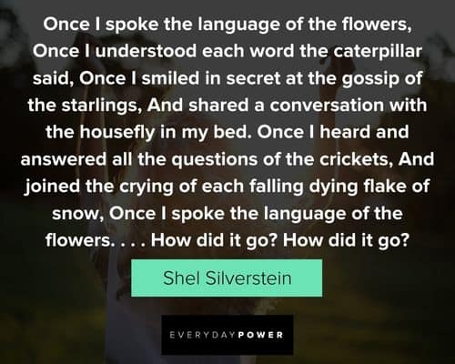 Intriguing Shel Silverstein quotes from his poems and books