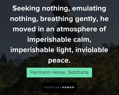Cool Siddhartha quotes
