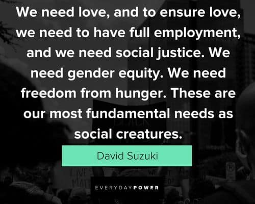 social justice quotes about love and to ensure love