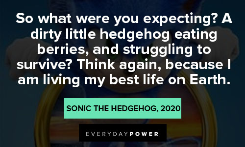 Sonic quotes on i am living my best life on Earth