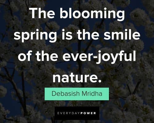 Funny spring quotes