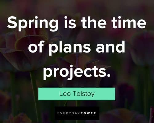 spring has sprung quotes