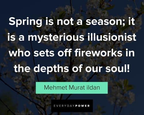 50 Best Spring Quotes - Happy and Poetic Quotes About Spring