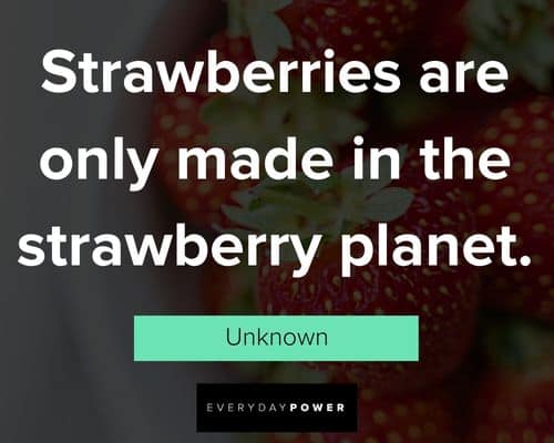random strawberry quotes