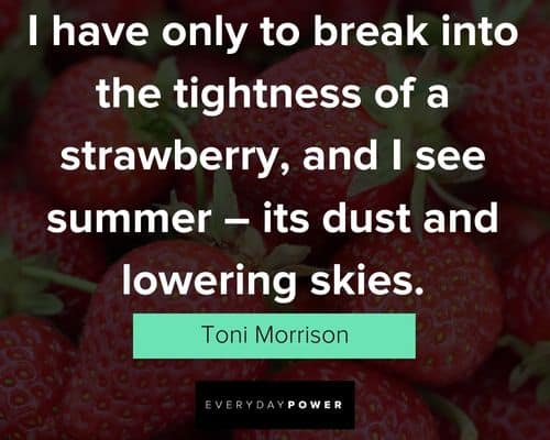 Wise and inspirational strawberry quotes