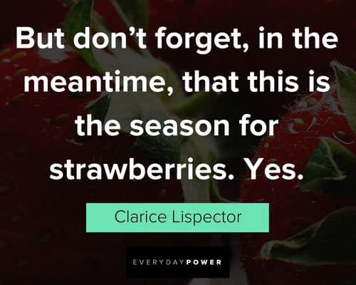 epic strawberry quotes