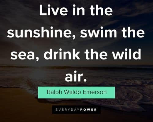 summer quotes on live in the sunshine, swim the sea, drink the wild air