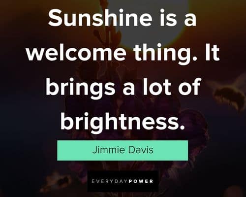sunshine quotes for Instagram